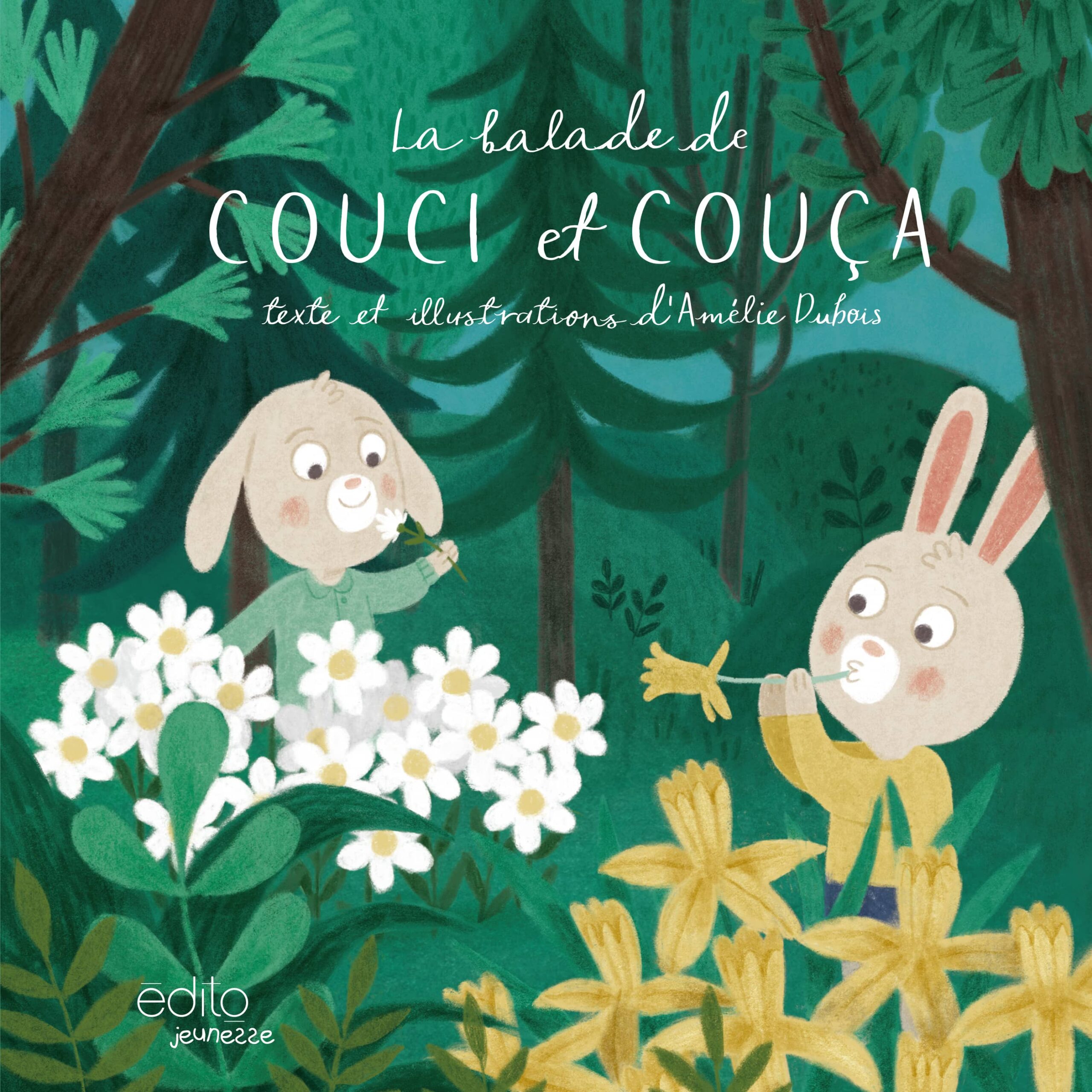 La balade de Couci et Couça-image